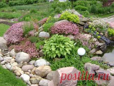 Многолетние цветы для альпийских горок и рокариев