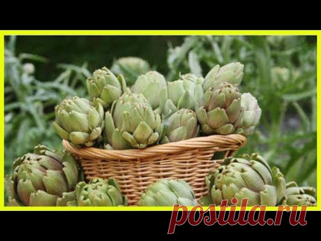 8 продуктов, которые понизят уровень мочевой кислоты