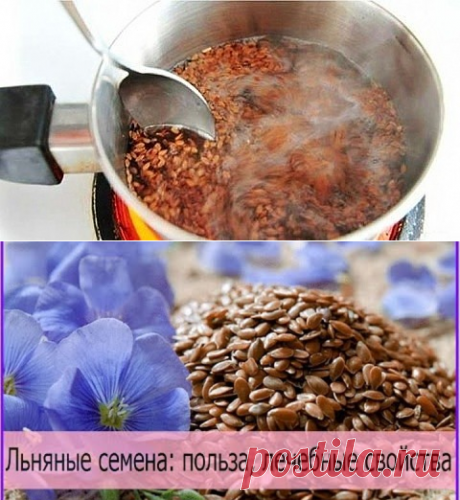 семя льна