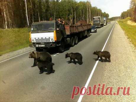 Взаимопонимание!..