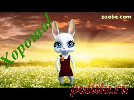 Zoobe Зайка Хорошо!