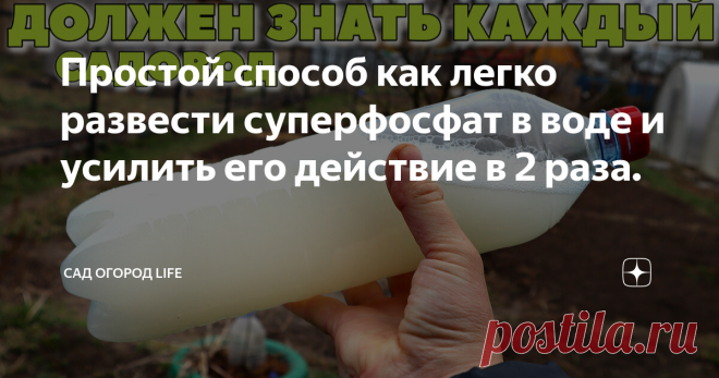 Простой способ как легко развести суперфосфат в воде и усилить его действие в 2 раза.