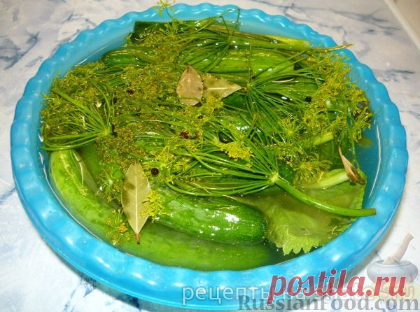 Рецепт: Малосольные огурчики по бабушкиному рецепту на RussianFood.com