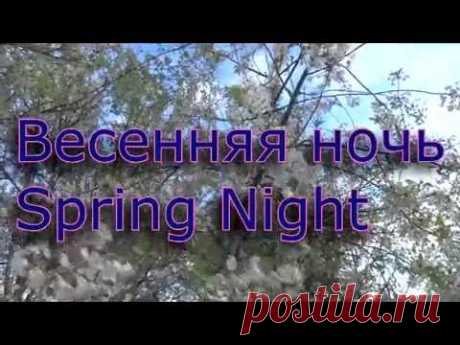 Весенняя ночь. Сергей Чекалин. Spring night. Sergey Chekalin. - YouTube