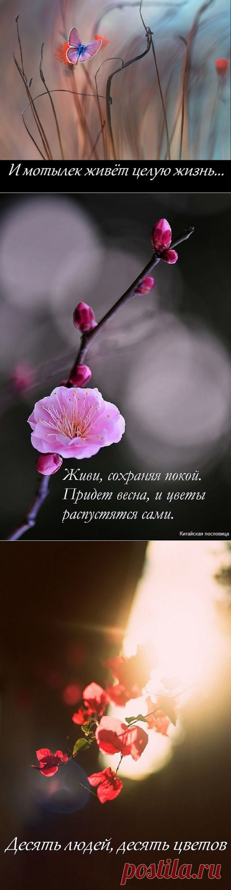 OWL Блюз - Восточное...