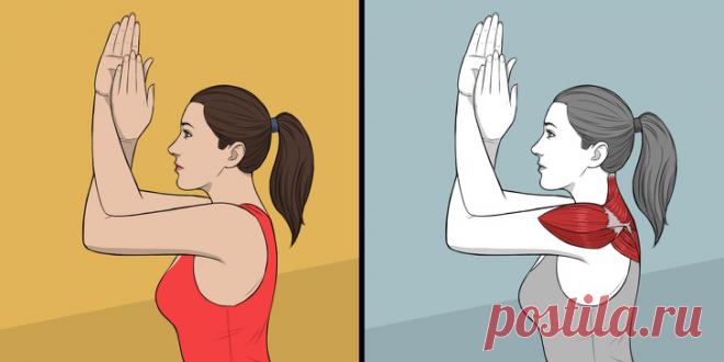 Девять упражнений на растяжку, которые заменят сеанс массажа | Хитрости жизни