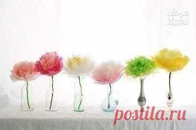 Цветок из креп / Рукоделие