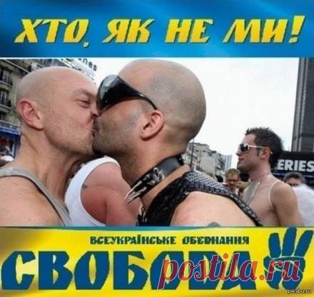 Крыса опровергла данные премьера Польши о беженцах с Украины
