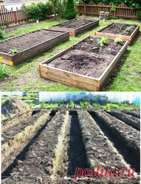 Грядка-короб или грядка-траншея?