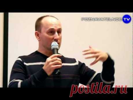 Николай Стариков: Американская конституция России - YouTube