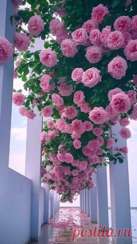 ✮