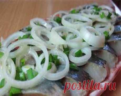 Селедочка малосоленая домашнего посола | FISH-SEAFOODS.RU