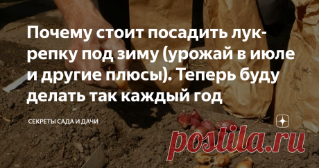 Почему стоит посадить лук-репку под зиму (урожай в июле и другие плюсы). Теперь буду делать так каждый год Верно говорят: правила существуют, чтобы их нарушать. На своем опыте убедилась, что репчатый лук стоит сажать осенью.
В том году я прочитала способ в интернете. Положительные комментарии других дачников заставили меня рискнуть. Посадила на пробу только небольшую грядку, примерно метр на метр, чт