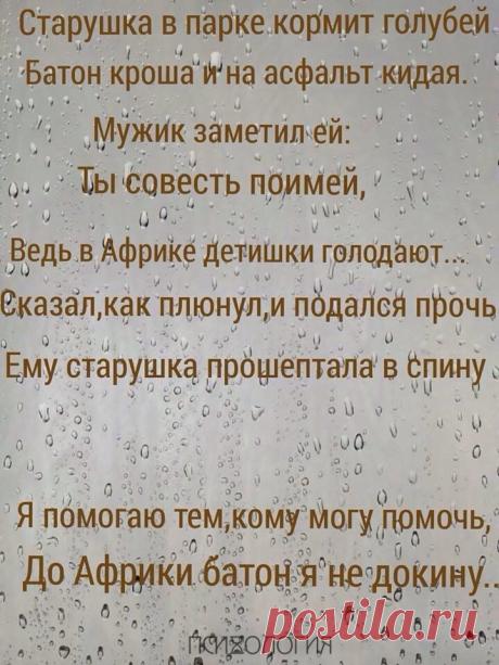 Старушка кормит голубей