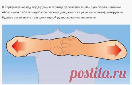 Простые упражнения для тренировки всех мышц рук
