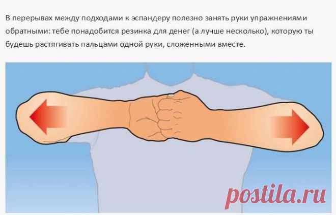 Простые упражнения для тренировки всех мышц рук