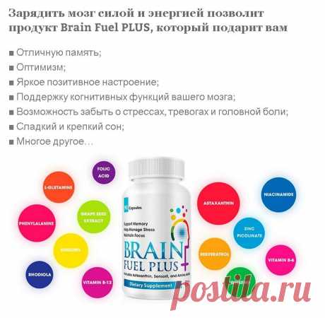 Brain Fuel Plus даст Вам:
•	отличную память
•	позитивное мышление
•	отличное настроение
•	жизнь без стрессов и тревог
•	жизнь без головной боли
•	сон как у младенца
•	поддержку когнитивных функций
•	и многое другое...