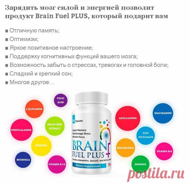 Brain Fuel Plus даст Вам:
•	отличную память
•	позитивное мышление
•	отличное настроение
•	жизнь без стрессов и тревог
•	жизнь без головной боли
•	сон как у младенца
•	поддержку когнитивных функций
•	и многое другое...
