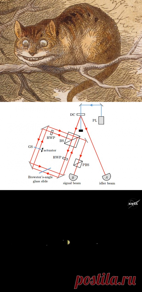 Физики измерили поляризацию «улыбки» Чеширского кота