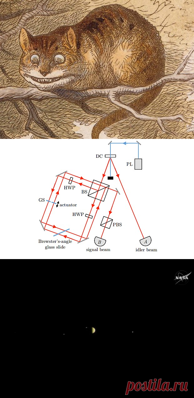Физики измерили поляризацию «улыбки» Чеширского кота