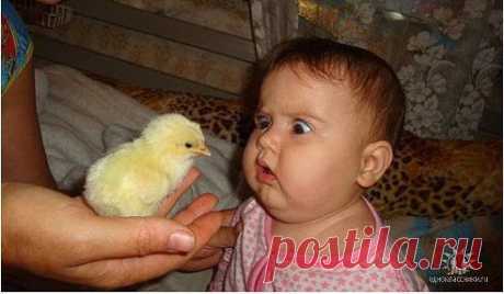 Мамуля,..ты кого притащила???. Я в шоке!
Смех и Не только (ړײ)