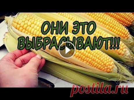 Забрала весь МУСОР у продавца КУКУРУЗЫ и вот что сделала / Природный материал для творчества ТАЛАШ Канал DachaDecor - В этом видео я занимаюсь заготовкой материалов. Мало кто знает, что этот материал называется ТАЛАШ (листья кукурузы). Это отличный ...