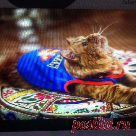 Рыжий батман
