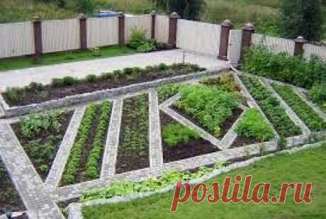 дизайн садового участка - Поиск в Google