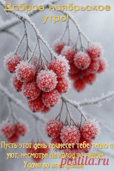 открытки с добрым ноябрьским утром с пожеланиями