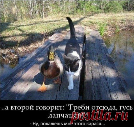 Друг- это тот, кто тебя понимает.
Друг- это тот, кто с тобою страдает.
Друг не покинет тебя никогда
Друг остается с тобой навсегда