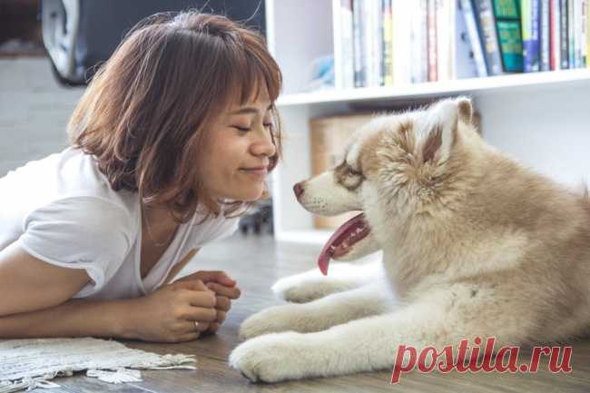 10 секретов здоровья, которые мы можем подсмотреть у животных