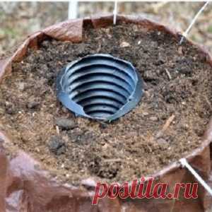 Поместите пластиковую трубу в контейнер и через пару дней у вас появится чудо!