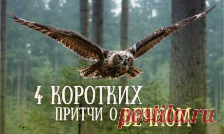 О Мудрости!!! Важные уроки жизни!!!.