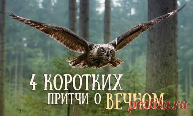 О Мудрости!!! Важные уроки жизни!!!.