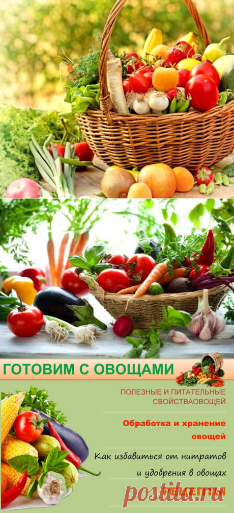 Полезные и питательные свойства овощей