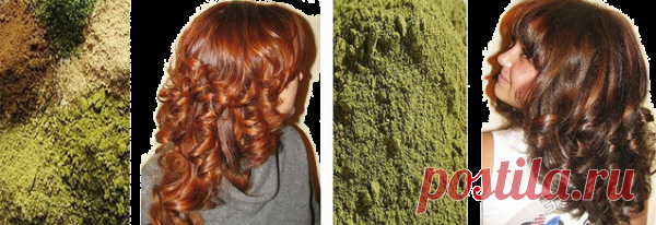 Окраска волос басмой: видео-инструкция по покраске локонов в черный цвет своими руками, как смыть, смывается ли, сколько держать краску, фото и цена