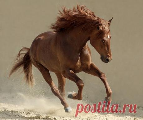 Фотографии на стене сообщества – 41 923 фотографии | ВКонтакте