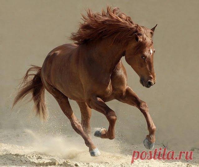 Фотографии на стене сообщества – 41 923 фотографии | ВКонтакте