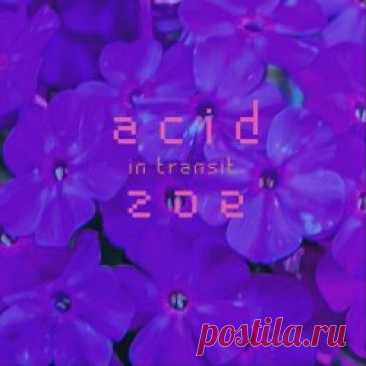 Acid Zoe - In Transit (2023) [EP] Artist: Acid Zoe Album: In Transit Year: 2023 Country: USA Style: Synthpop, New Wave, Shoegaze