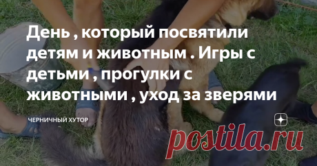 День , который посвятили детям и животным . Игры с детьми , прогулки с животными , уход за зверями