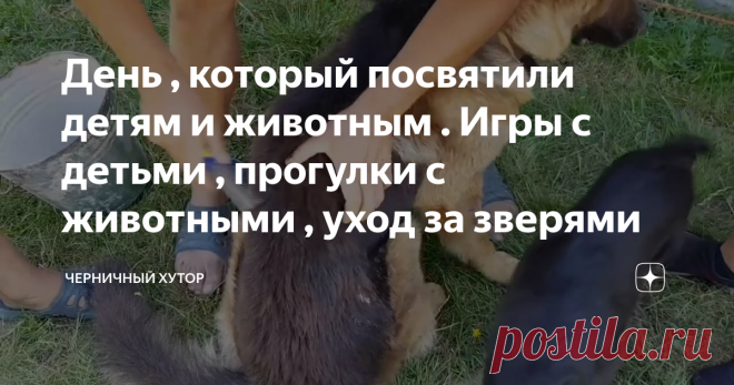 День , который посвятили детям и животным . Игры с детьми , прогулки с животными , уход за зверями