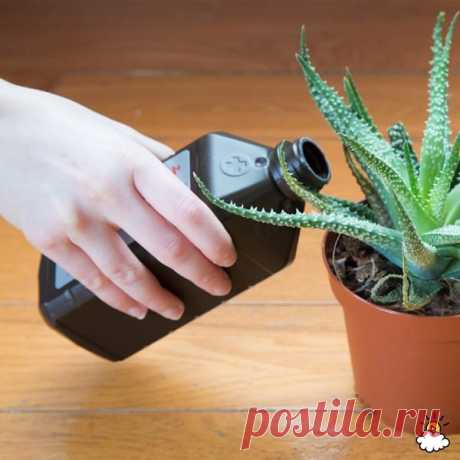 Перекись — универсальное средство для чистоты — Делимся советами