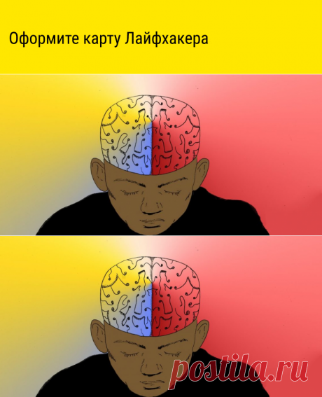 Как развить мозг за 30 дней - Лайфхакер