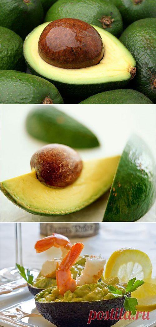 Авокадо: с чем его едят? / Простые рецепты