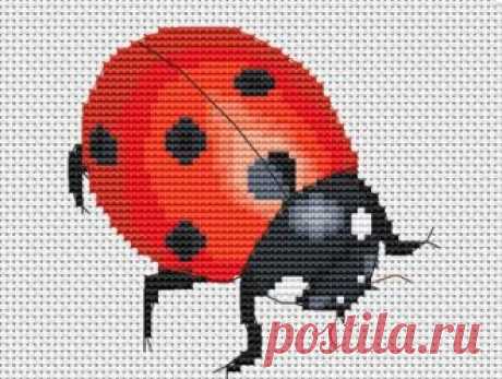 Gallery.ru / Елена Птица - Рукодел