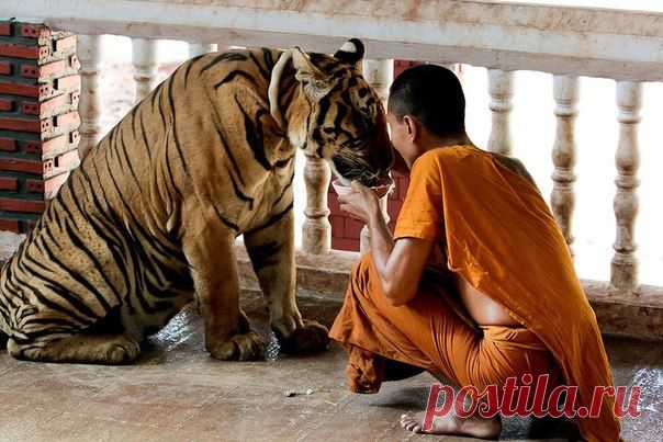 Портал "Молодость 35+"