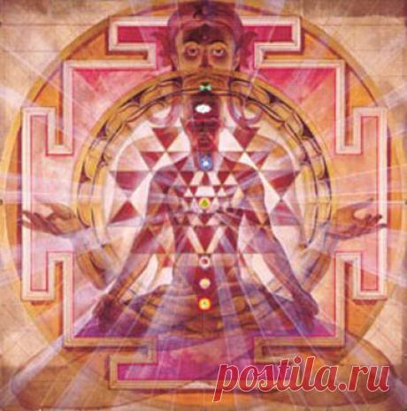 СТРУКТУРА СОЗНАНИЯ ЧЕЛОВЕКА Человеческий мозг поделен на две половины. Левое полушарие имеет дело с языком и логикой, правое – с интуицией и чувствами. Можно сказать, что в левом полушарии мозга живет ученый, а …