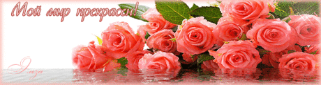 best-covers - 30 фото. Фотографии Татьяна Титова.