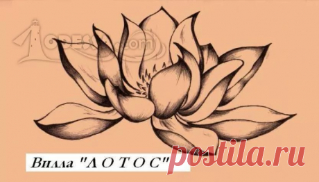 как нарисовать лотос карандашом поэтапно для начинающих: 5 тыс изображений найдено в Яндекс.Картинках
