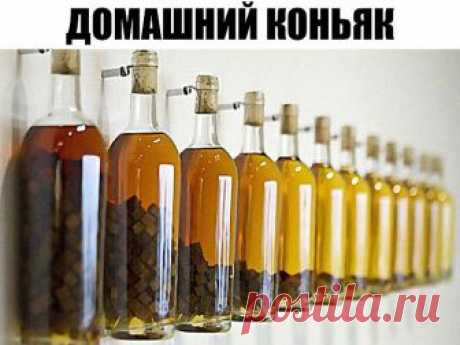 Домашний коньяк — удивите ваших гостей!
Ингредиенты:

Водка — 3 л
Чернослив — 6 шт.
Гвоздика — 10 шт.
Сахар — 100 г
Сухая заварка чая — 2 ст. л.
Ванилин — 1 пакетик

Приготовление:

1. Все ингредиенты — кроме водки — помещаем в банку, потом их заливаем 3-мя литрами водки.
2. Хорошо взбалтываем и ставим банку в тёмное место на трое суток, при этом, каждые сутки опять таки взбалтываем. Не бойтесь, что он сначала помутнеет.
3. Разливаем получившийся коньяк в красивые бутылки ...